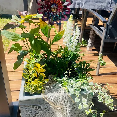 Maison Chez Nounou Sauna Jacuzzi Jardin Arbore Non Cloture