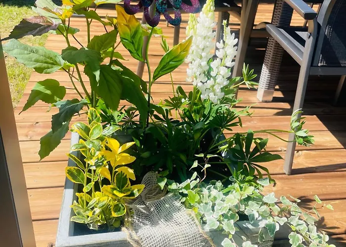 Maison Chez Nounou Sauna Jacuzzi Jardin Arbore Non Cloture